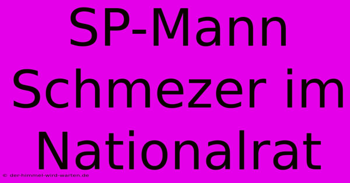 SP-Mann Schmezer Im Nationalrat