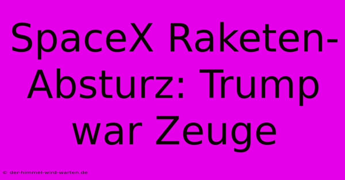 SpaceX Raketen-Absturz: Trump War Zeuge