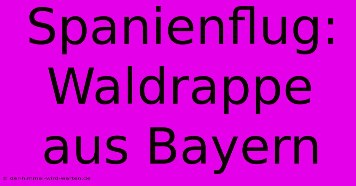 Spanienflug:  Waldrappe Aus Bayern