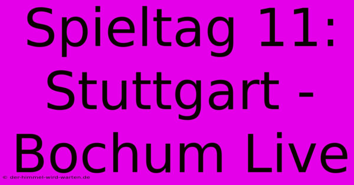 Spieltag 11: Stuttgart - Bochum Live