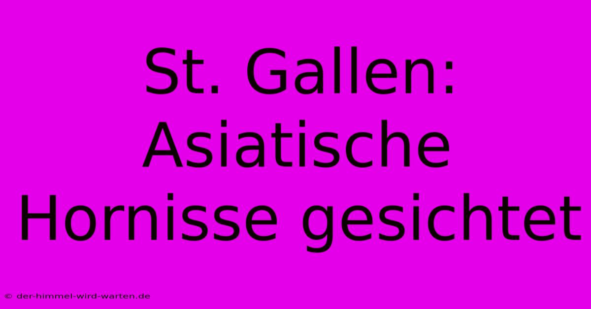 St. Gallen: Asiatische Hornisse Gesichtet