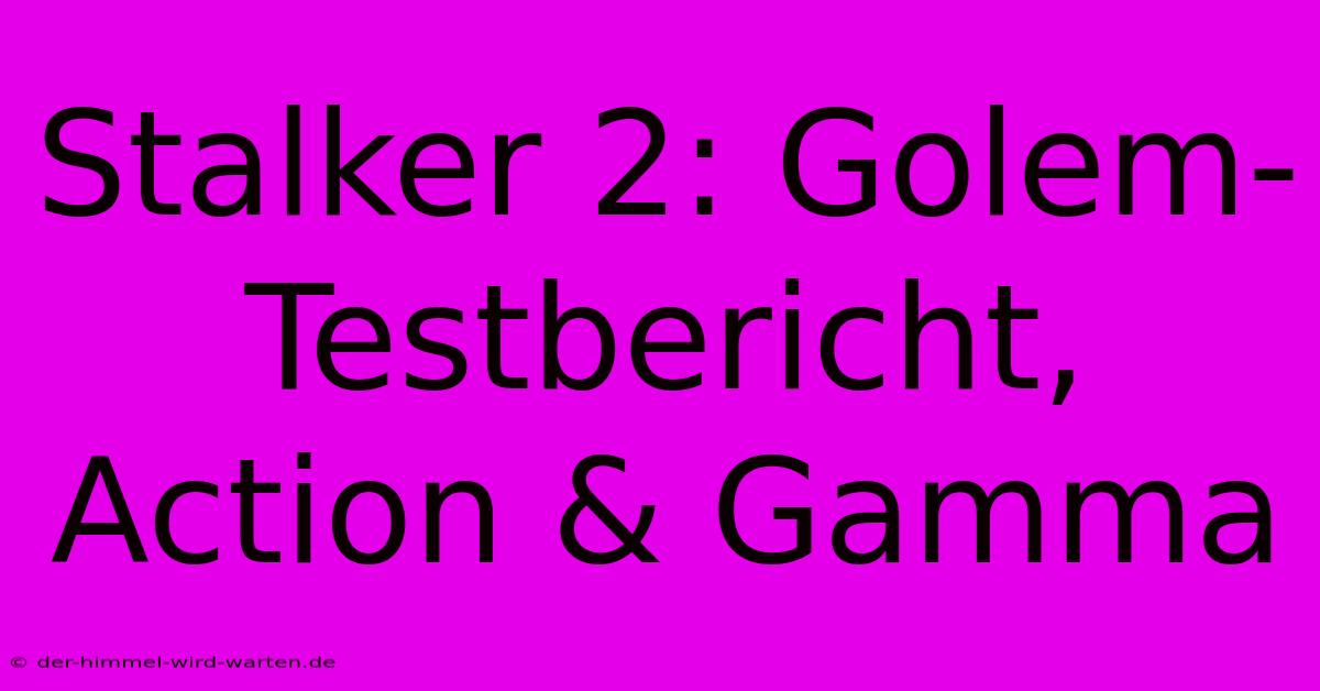 Stalker 2: Golem-Testbericht, Action & Gamma