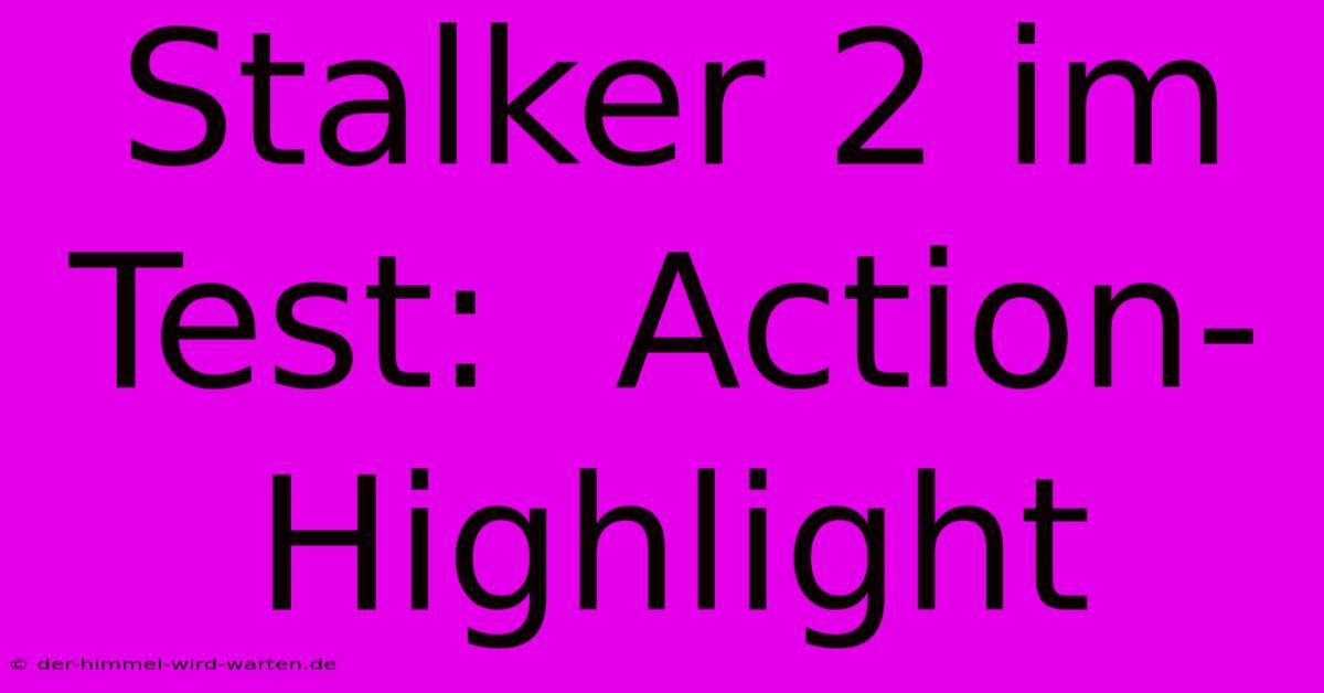 Stalker 2 Im Test:  Action-Highlight