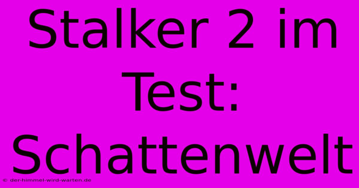 Stalker 2 Im Test: Schattenwelt