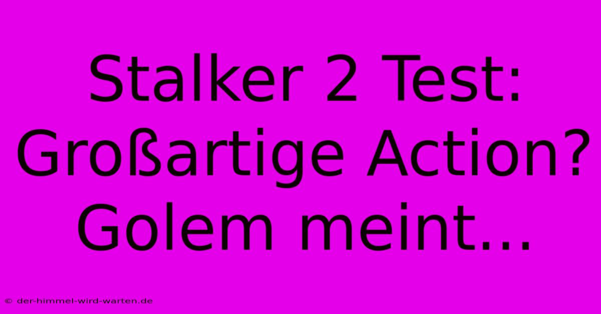 Stalker 2 Test:  Großartige Action? Golem Meint...