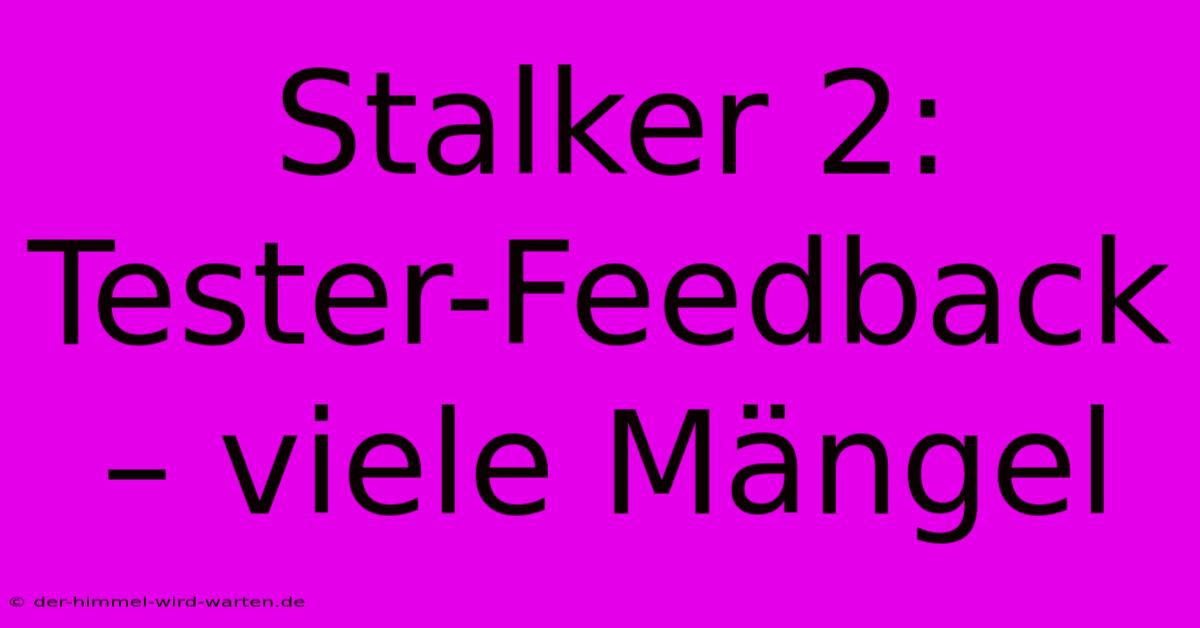 Stalker 2:  Tester-Feedback – Viele Mängel