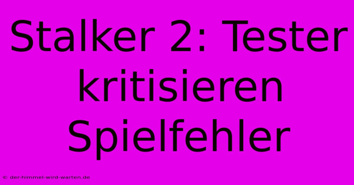 Stalker 2: Tester Kritisieren Spielfehler