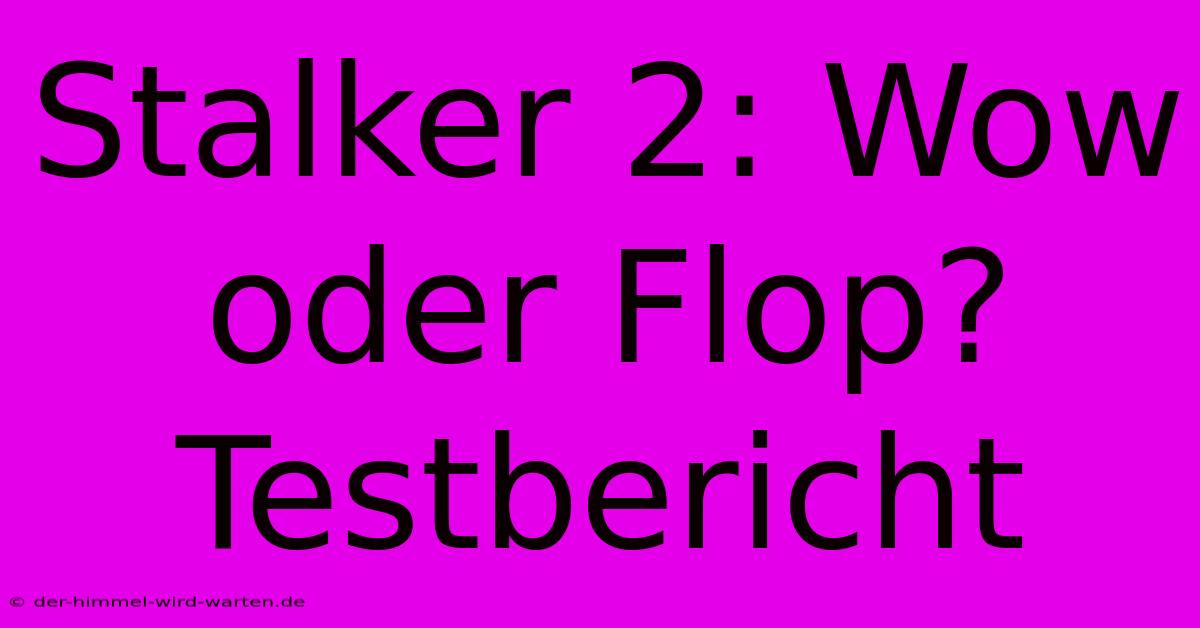 Stalker 2: Wow Oder Flop? Testbericht