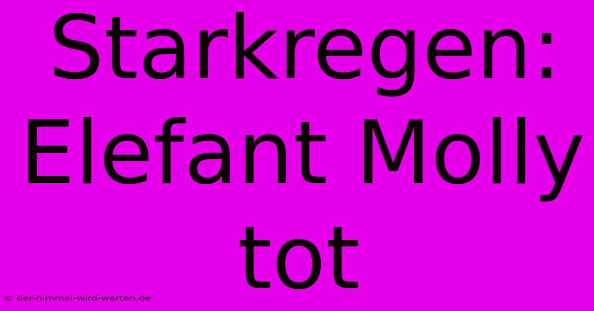 Starkregen: Elefant Molly Tot