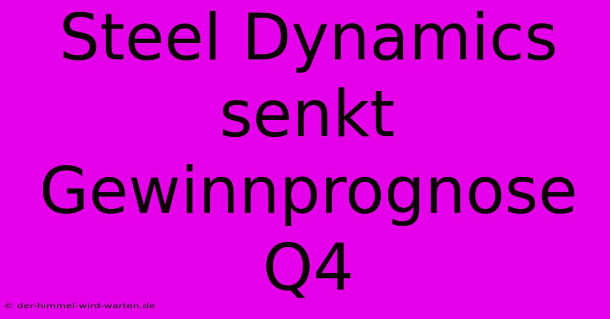 Steel Dynamics Senkt Gewinnprognose Q4