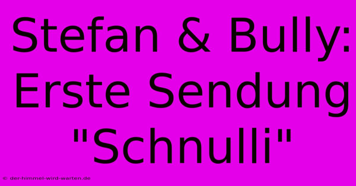 Stefan & Bully: Erste Sendung 