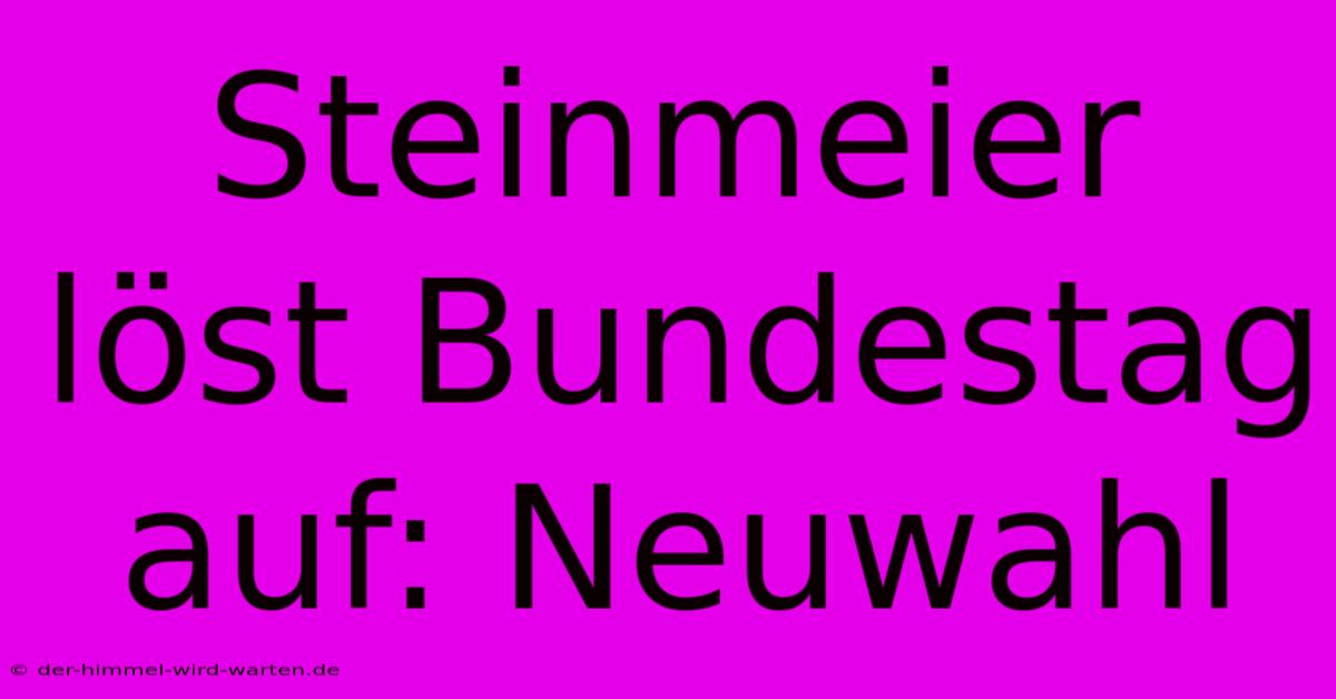 Steinmeier Löst Bundestag Auf: Neuwahl