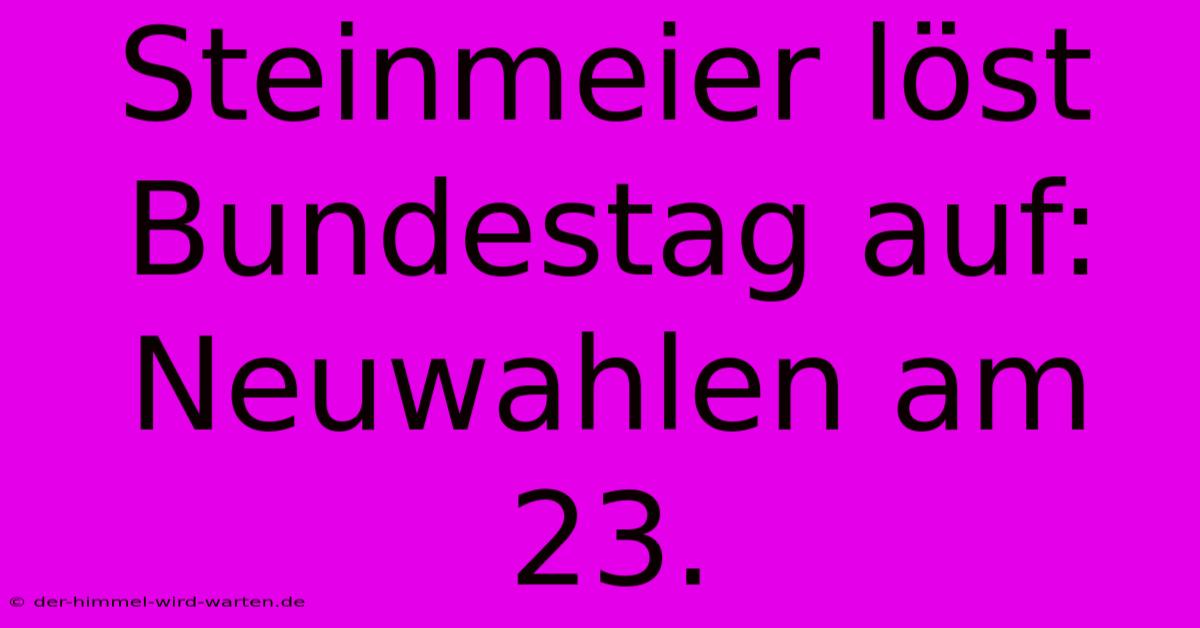 Steinmeier Löst Bundestag Auf: Neuwahlen Am 23.