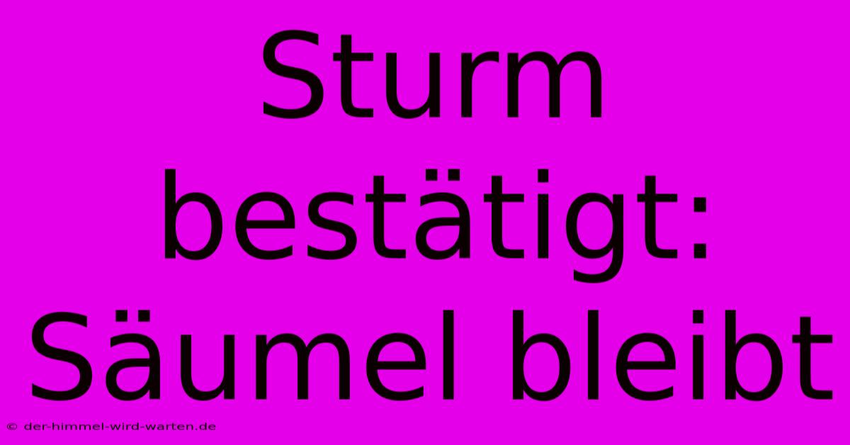 Sturm Bestätigt: Säumel Bleibt