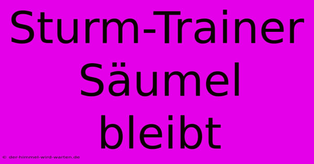 Sturm-Trainer Säumel Bleibt