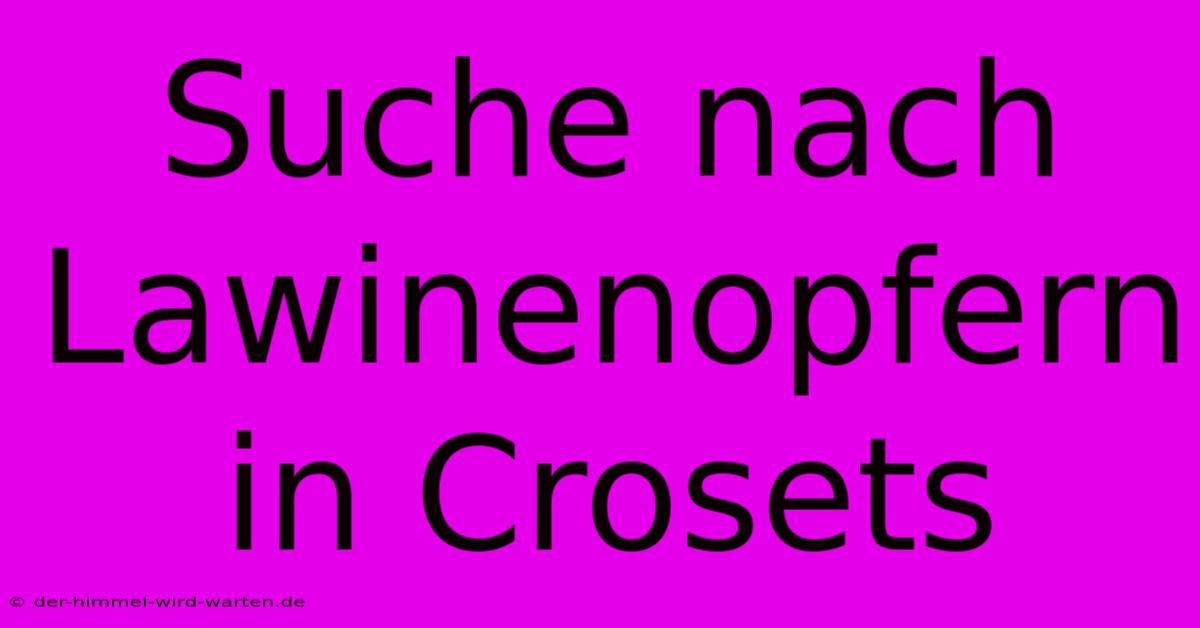 Suche Nach Lawinenopfern In Crosets