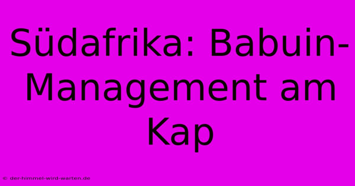 Südafrika: Babuin-Management Am Kap