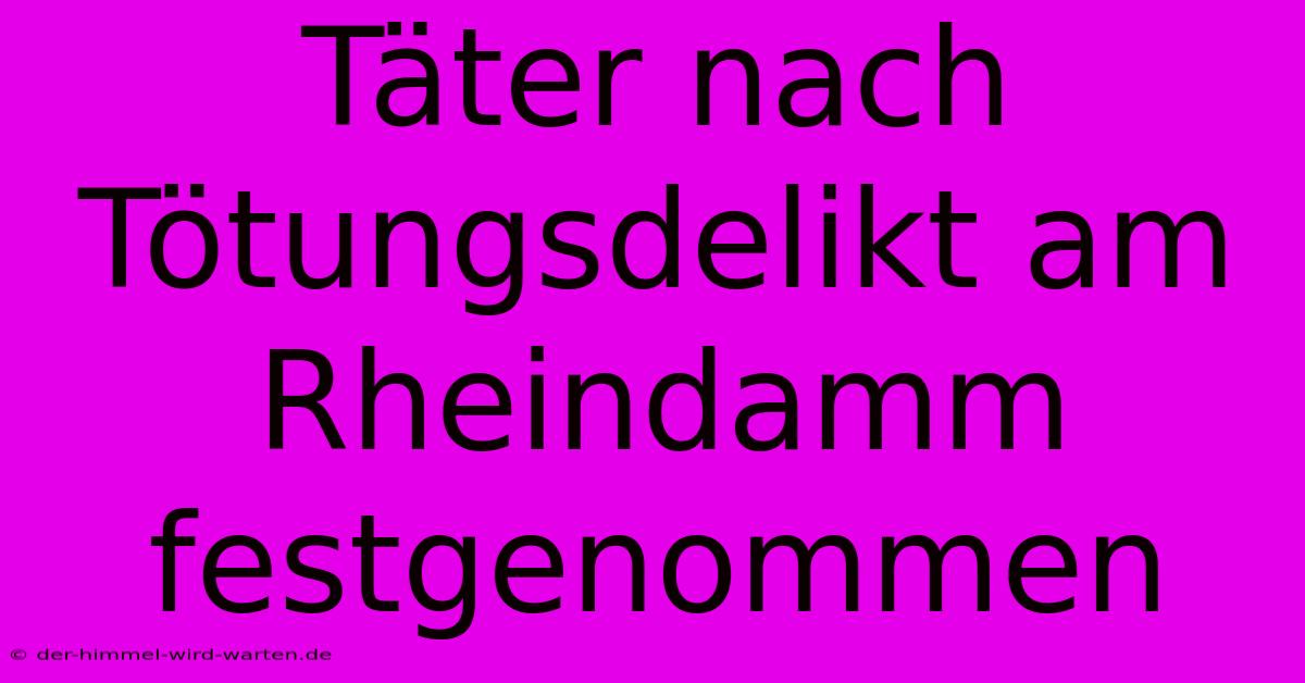 Täter Nach Tötungsdelikt Am Rheindamm Festgenommen