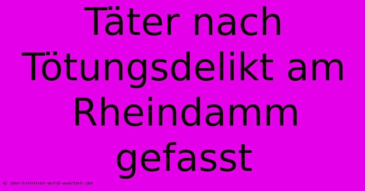 Täter Nach Tötungsdelikt Am Rheindamm Gefasst