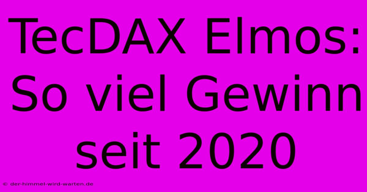 TecDAX Elmos: So Viel Gewinn Seit 2020