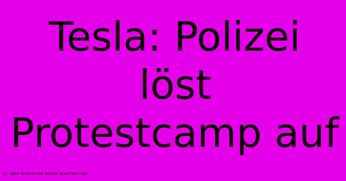 Tesla: Polizei Löst Protestcamp Auf