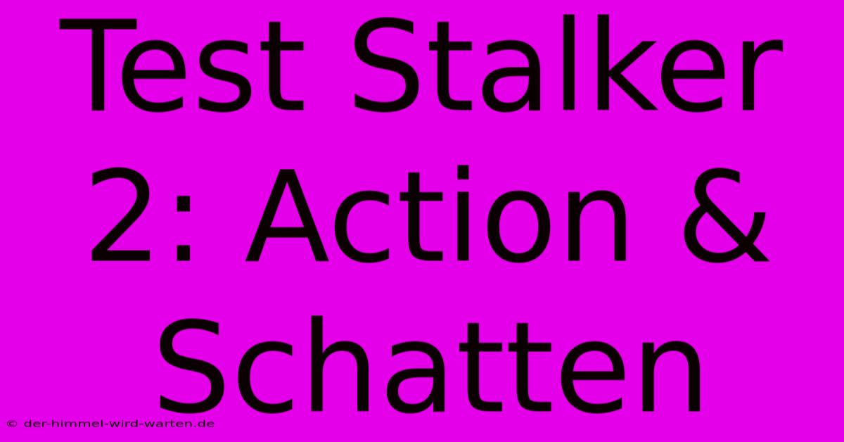 Test Stalker 2: Action & Schatten