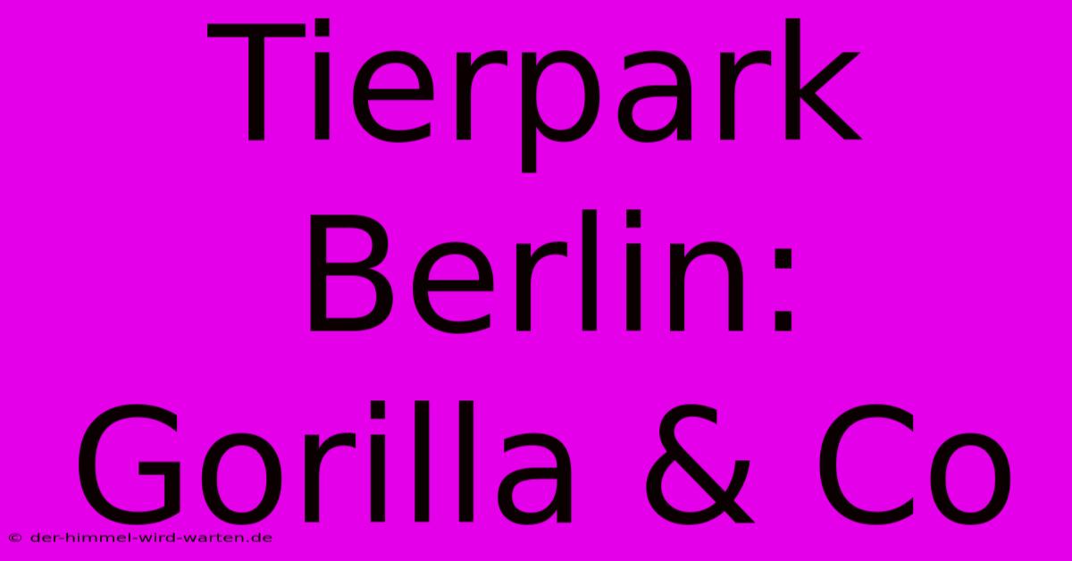 Tierpark Berlin: Gorilla & Co