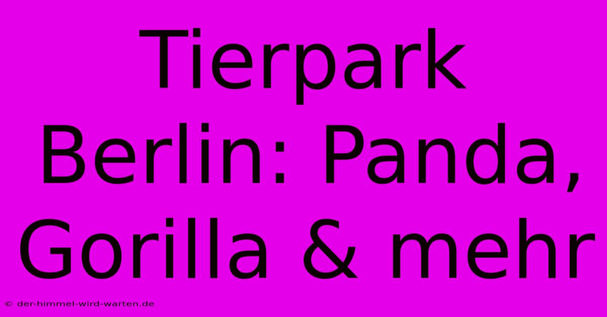 Tierpark Berlin: Panda, Gorilla & Mehr