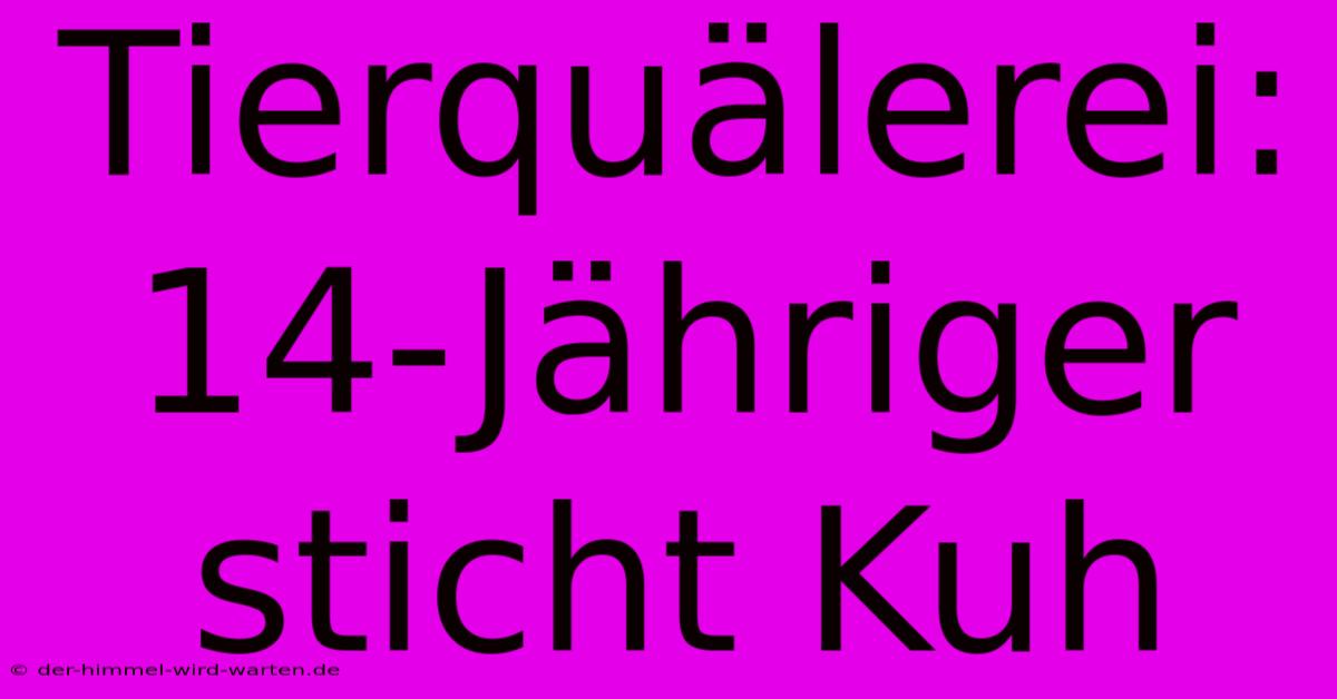 Tierquälerei: 14-Jähriger Sticht Kuh