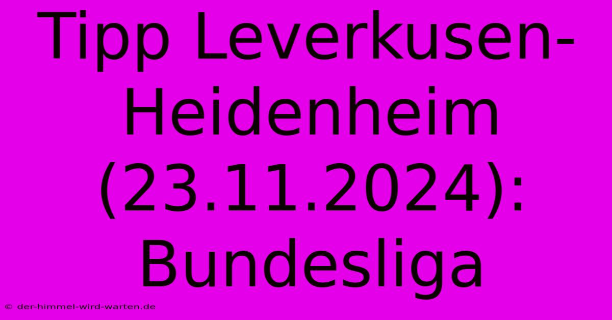 Tipp Leverkusen-Heidenheim (23.11.2024): Bundesliga