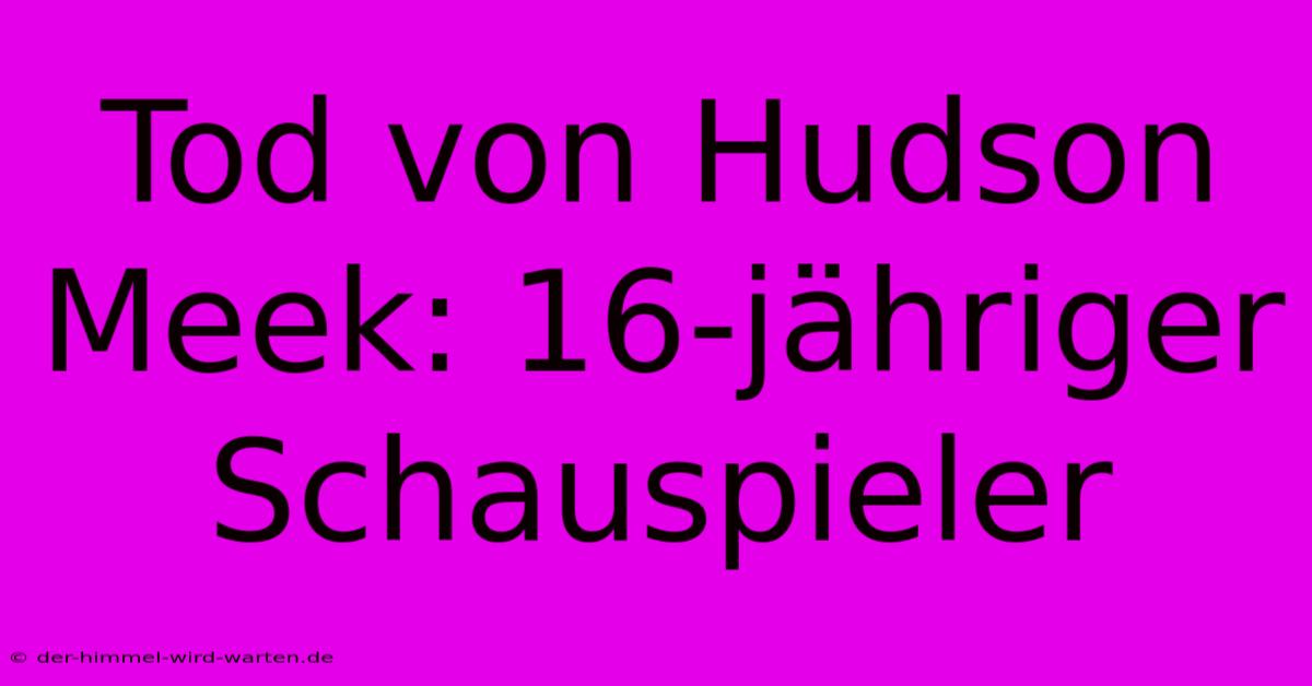 Tod Von Hudson Meek: 16-jähriger Schauspieler