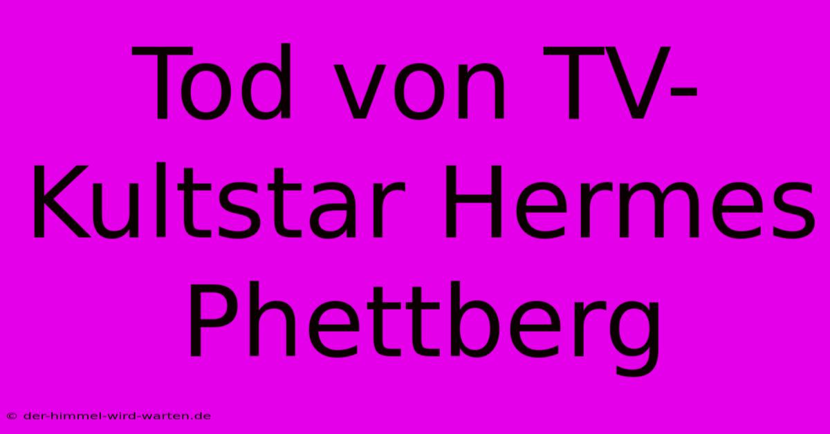 Tod Von TV-Kultstar Hermes Phettberg