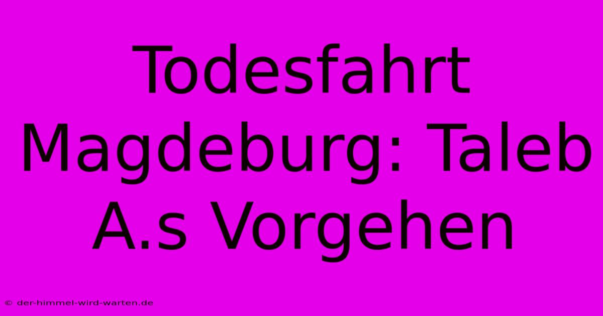 Todesfahrt Magdeburg: Taleb A.s Vorgehen