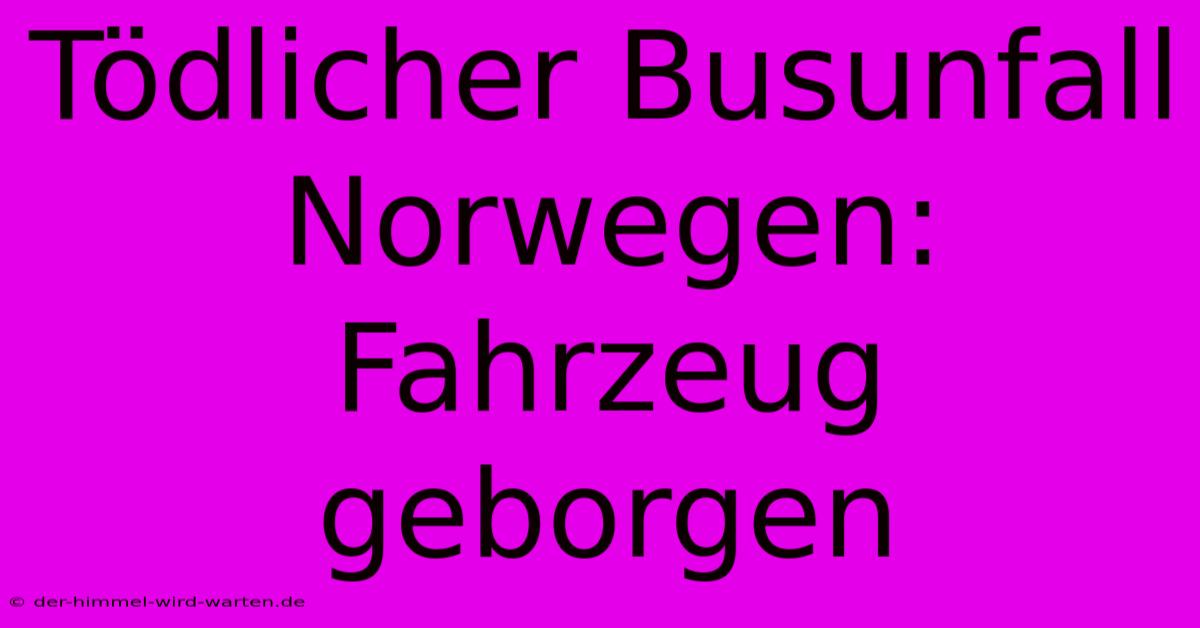 Tödlicher Busunfall Norwegen: Fahrzeug Geborgen