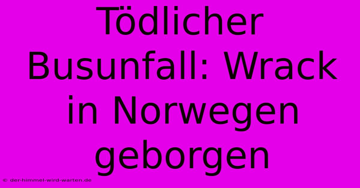 Tödlicher Busunfall: Wrack In Norwegen Geborgen