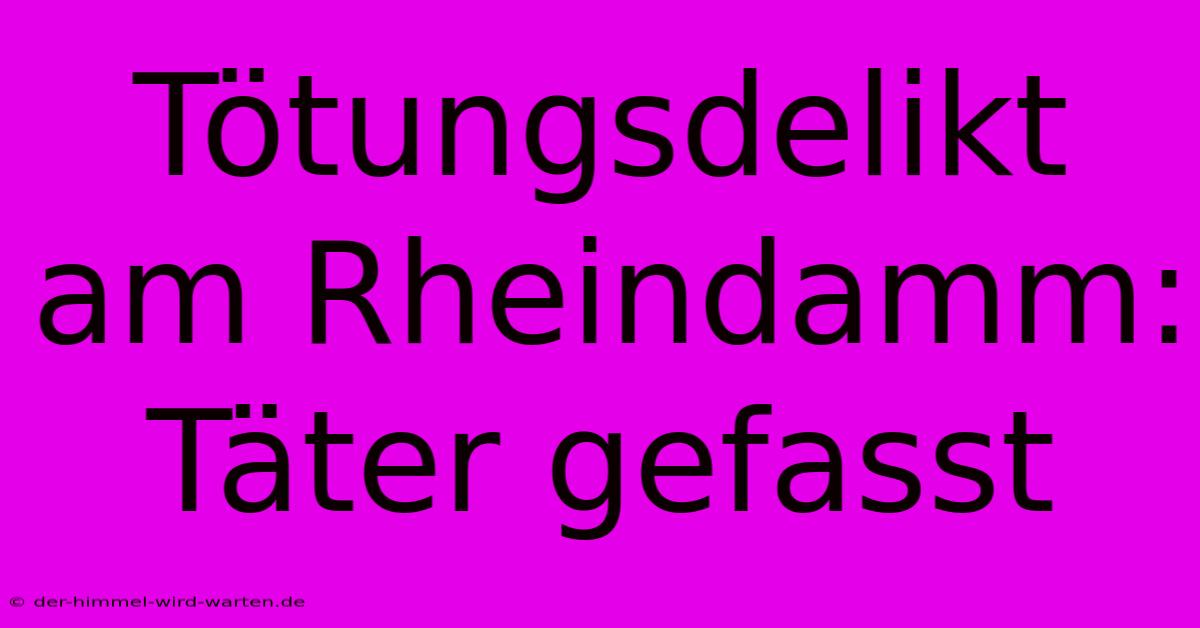 Tötungsdelikt Am Rheindamm: Täter Gefasst