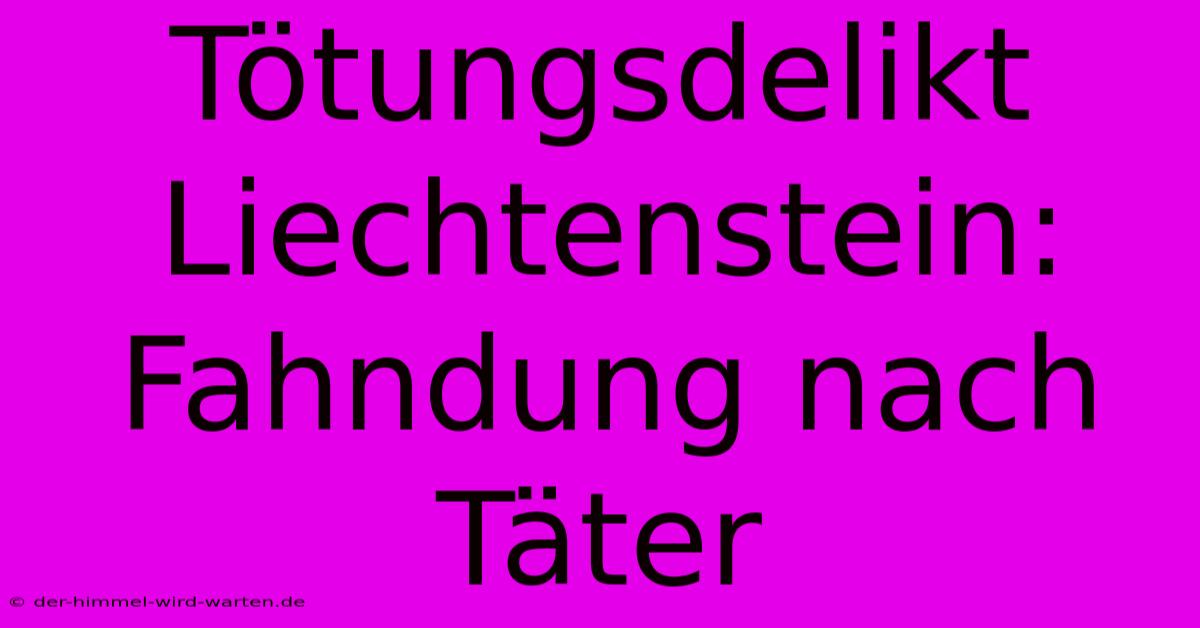 Tötungsdelikt Liechtenstein: Fahndung Nach Täter