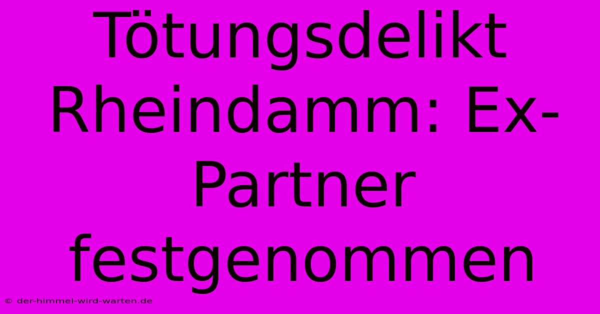 Tötungsdelikt Rheindamm: Ex-Partner Festgenommen