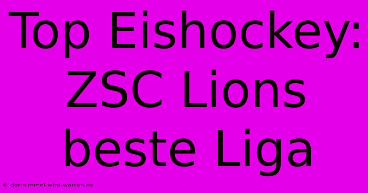 Top Eishockey: ZSC Lions Beste Liga