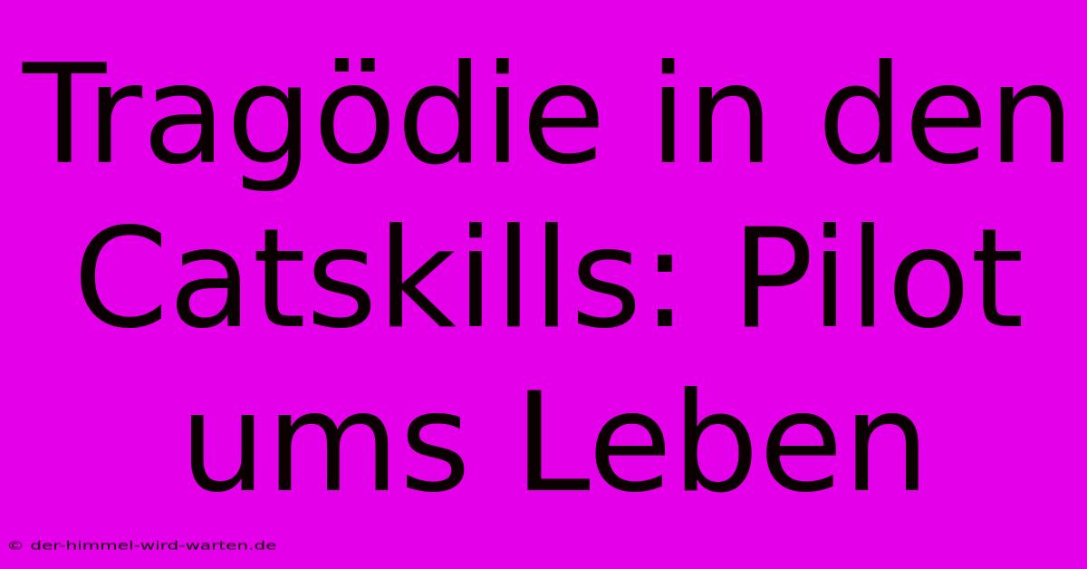 Tragödie In Den Catskills: Pilot Ums Leben