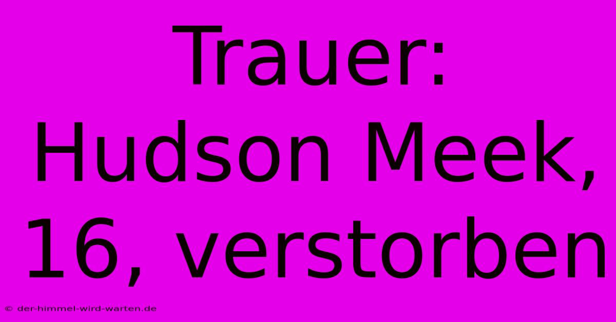 Trauer: Hudson Meek, 16, Verstorben