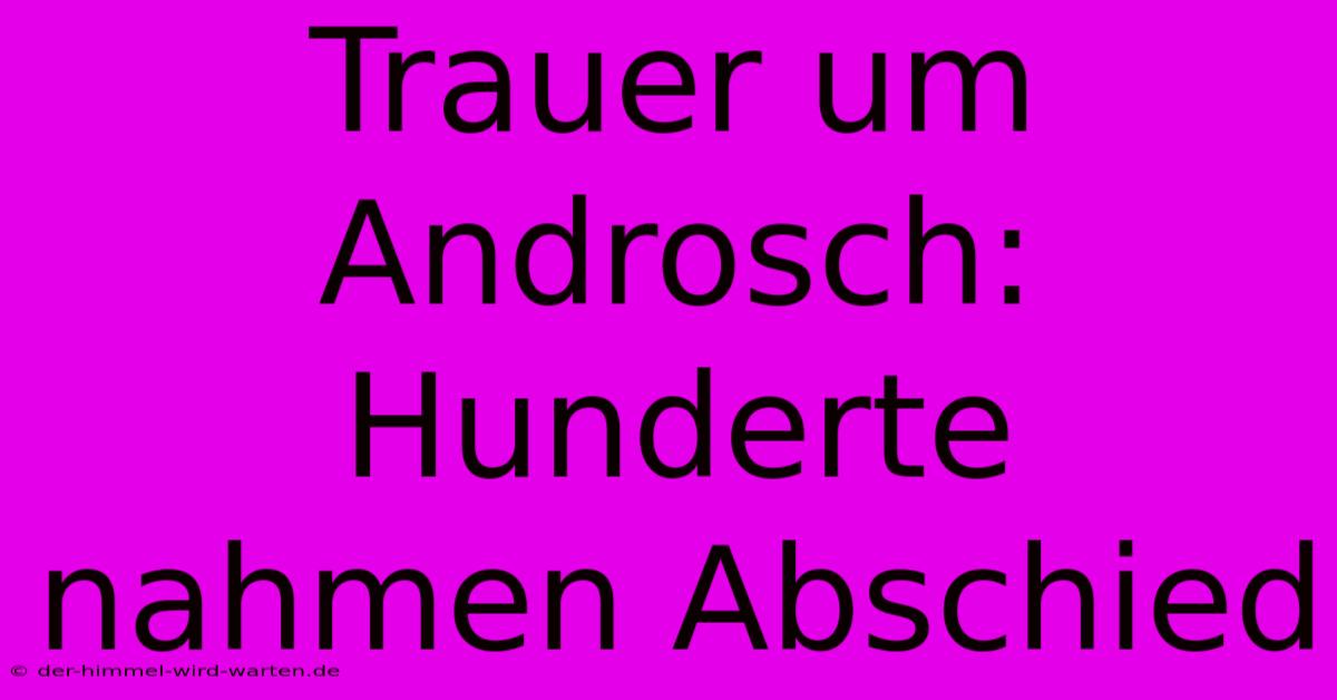 Trauer Um Androsch: Hunderte Nahmen Abschied