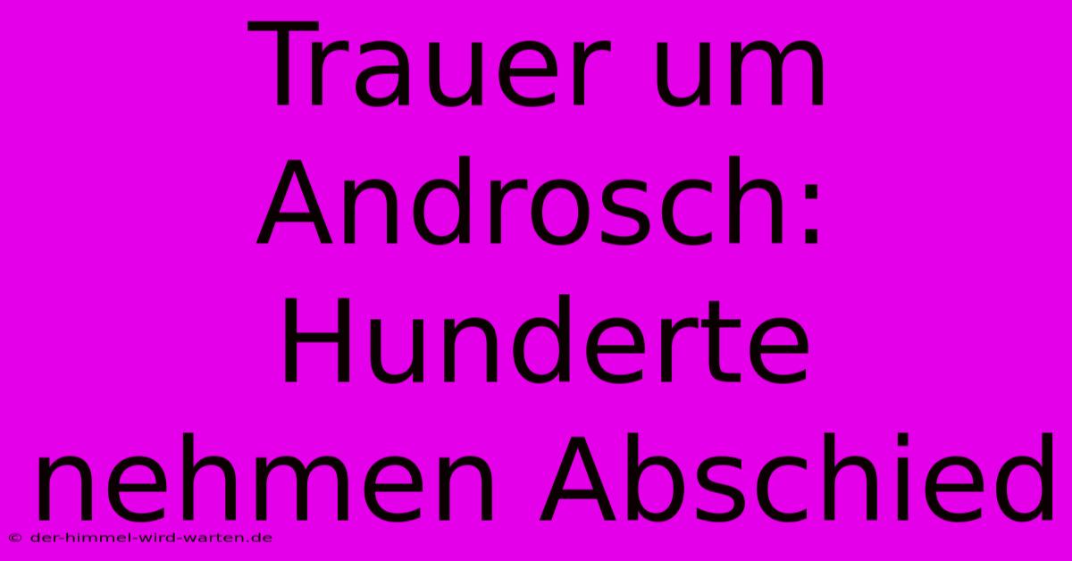 Trauer Um Androsch: Hunderte Nehmen Abschied