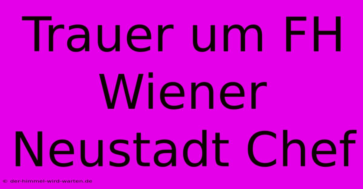 Trauer Um FH Wiener Neustadt Chef