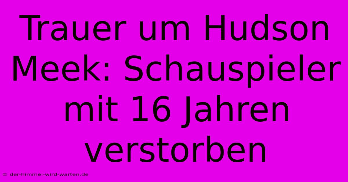 Trauer Um Hudson Meek: Schauspieler Mit 16 Jahren Verstorben