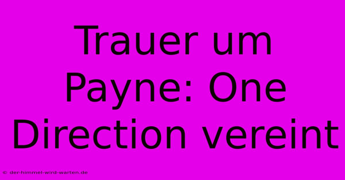 Trauer Um Payne: One Direction Vereint