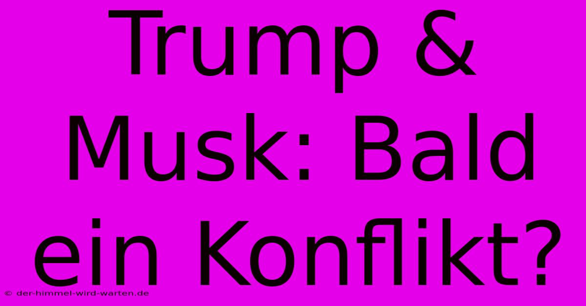 Trump & Musk: Bald Ein Konflikt?