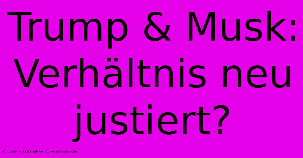 Trump & Musk: Verhältnis Neu Justiert?