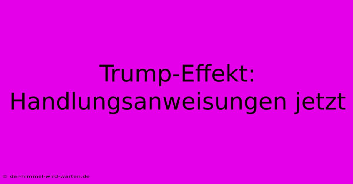 Trump-Effekt:  Handlungsanweisungen Jetzt