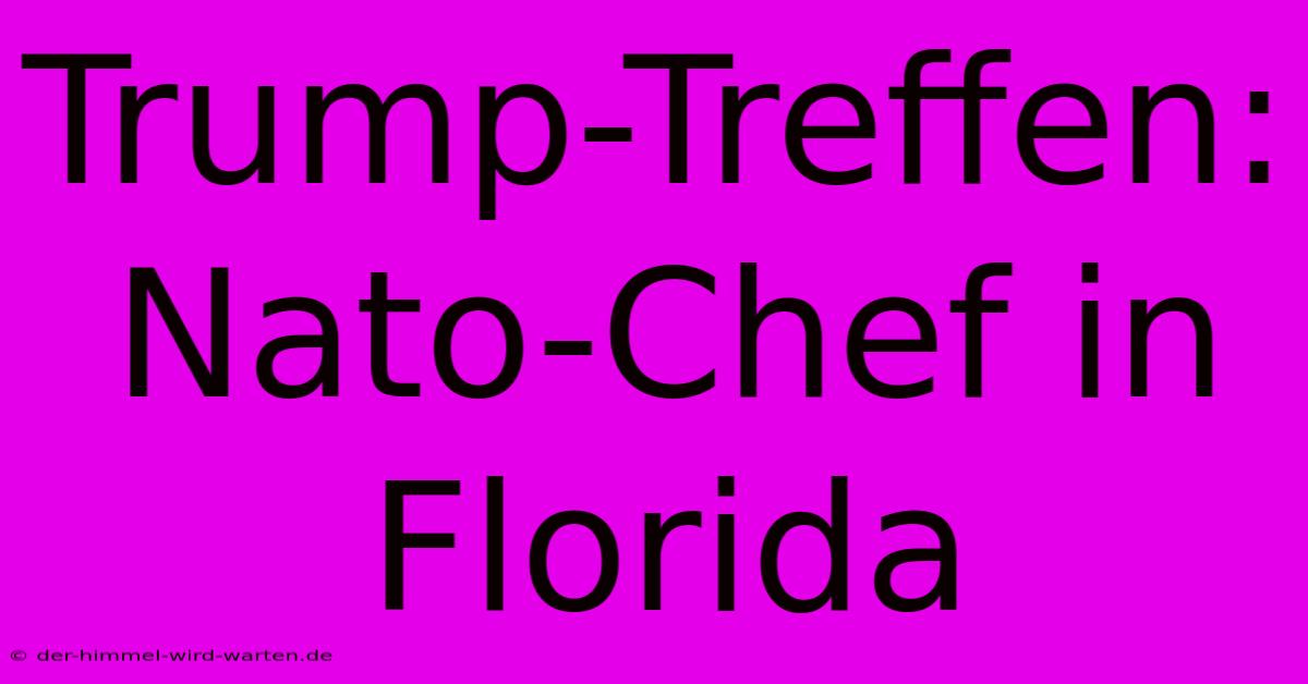 Trump-Treffen: Nato-Chef In Florida